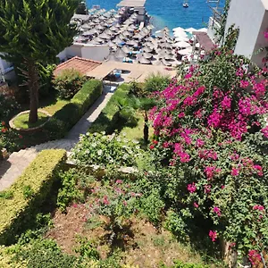 Amelie's & Sarandë